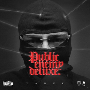 Public Enemy (Deluxe) [Explicit]