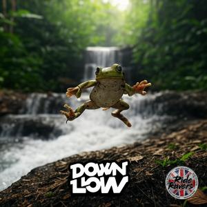 Down Low
