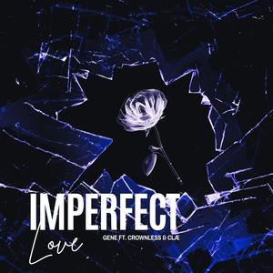 Imperfect Love
