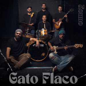 Gato flaco