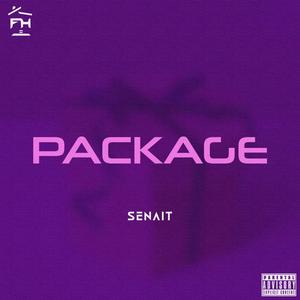Package (feat. Senait) (Explicit)