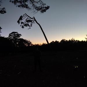 Txipirones En Su Tinta (Explicit)