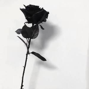 傻之豆豆 - 你敢不敢