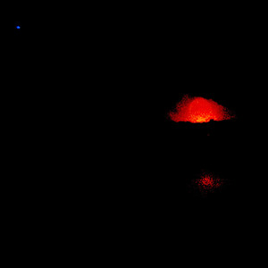 Wrath of the Sun King