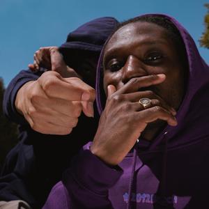 purple / mauve (Explicit)