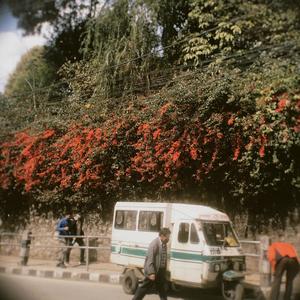 Yo Sahar (feat. Prajina) (Remix|Explicit)