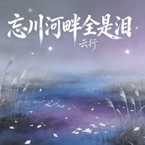 忘川河畔全是泪