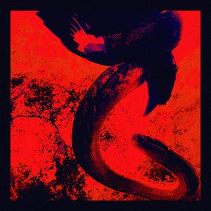 H34RT BLE3D (Explicit)