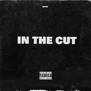 In The Cut (Explicit)