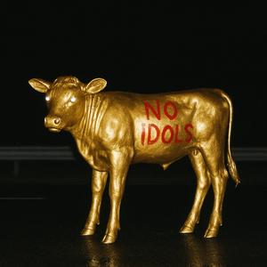 NO IDOLS