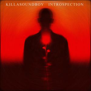 INTROSPECTION