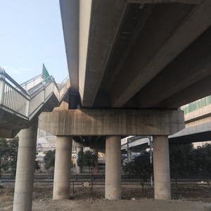 ok!conjecture! (绯)