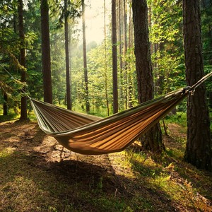 Sonidos De Armonía Y Relajación