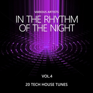 In the Rhythm of the Night (20 Tech House Tunes) , Vol. 4