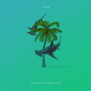 Elevation Music EP