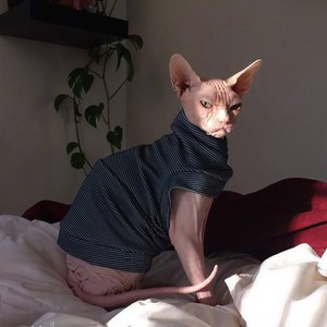 我要你-吉他清唱