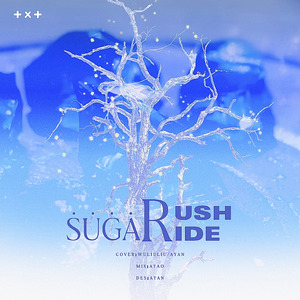 Sugar Rush Ride