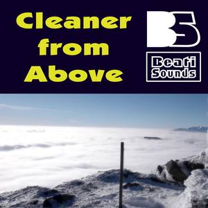 Cleaner from Above (Extended Version)