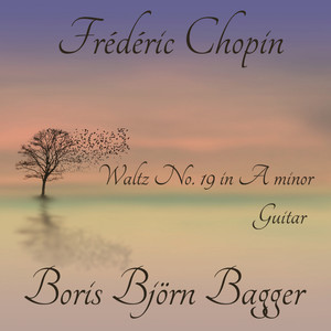 Waltz No.19 In A Minor, Op.posth. (Arr. For Guitar)