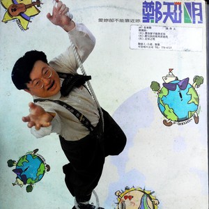 不要做一对迟钝的翅膀 (黑胶版)