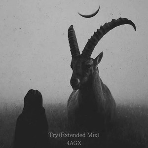 Try (Extended Mix)