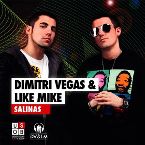 Salinas (Gregori Klosman Mix)封面