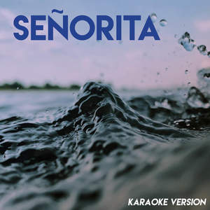 Señorita (伴奏)