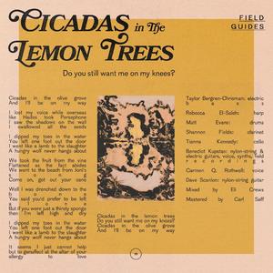 Cicadas in the Lemon Trees