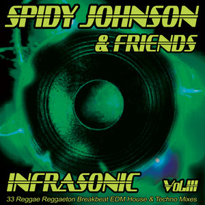 Infrasonic, Vol. 3 (33 Reggae Reggaeton, Breakbeat, EDM, House & Techno Mixes)