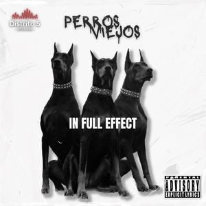 Perros Viejos (feat. Dry Rodriguez) (Explicit)