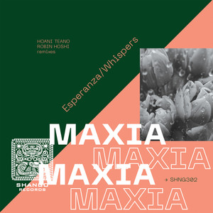 Whispers (Robin Hoshi remix)