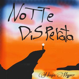 NOTTE DISPERATA