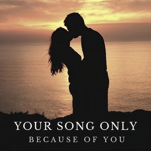 Because of You(feat. Linda Sundblad)