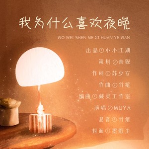 我为什么喜欢夜晚