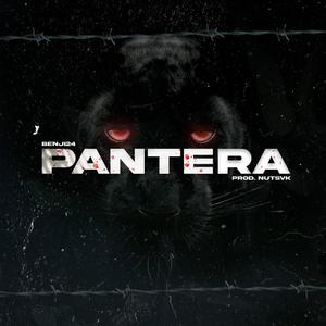 PANTERA (feat. Nutsvk) [Explicit]