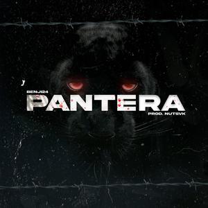 PANTERA (feat. Nutsvk) (Explicit)