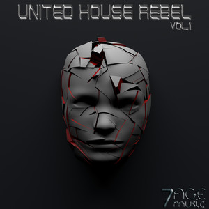 United House Rebel, Vol. 1