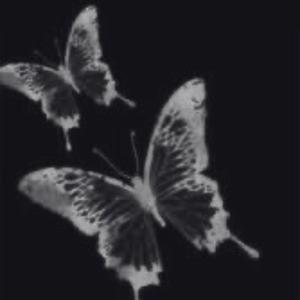 doing well (Explicit)