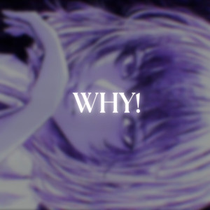 Why (Explicit)