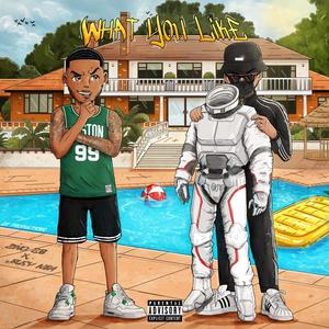 What You Like(feat. BusyNBA) (Explicit)