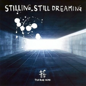 STILLING STILL DREAMING