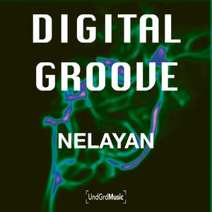 Digital Groove