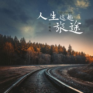 人生这趟旅途 (DJ默涵版)