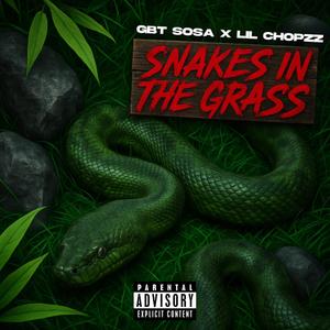Snakes In The Grass (feat. Lil Chopzz) (Explicit)