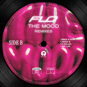 FLO - The Mood (p-rallel Remix)