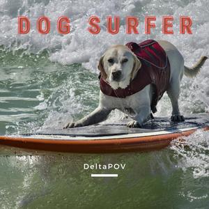 Dog Surfer (With Amy King & Emily Dorrel)