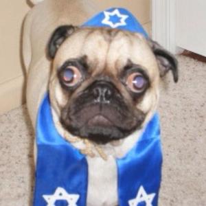 SmokeAPack (feat. PacksFace) (Explicit)