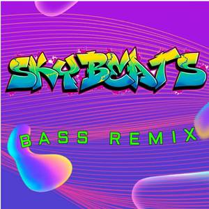 sky beats bass remix