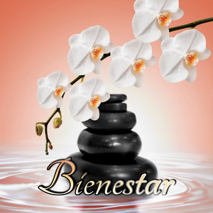 Bienestar - Música Zen para Bienestar y Masaje, Música de Piano, Música para Relajarse, Sonidos de la Naturaleza, Musica Calmante Sentimental, Musicoterapia, Spa