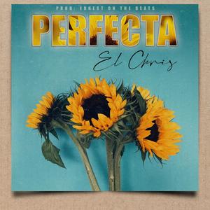 Perfecta
